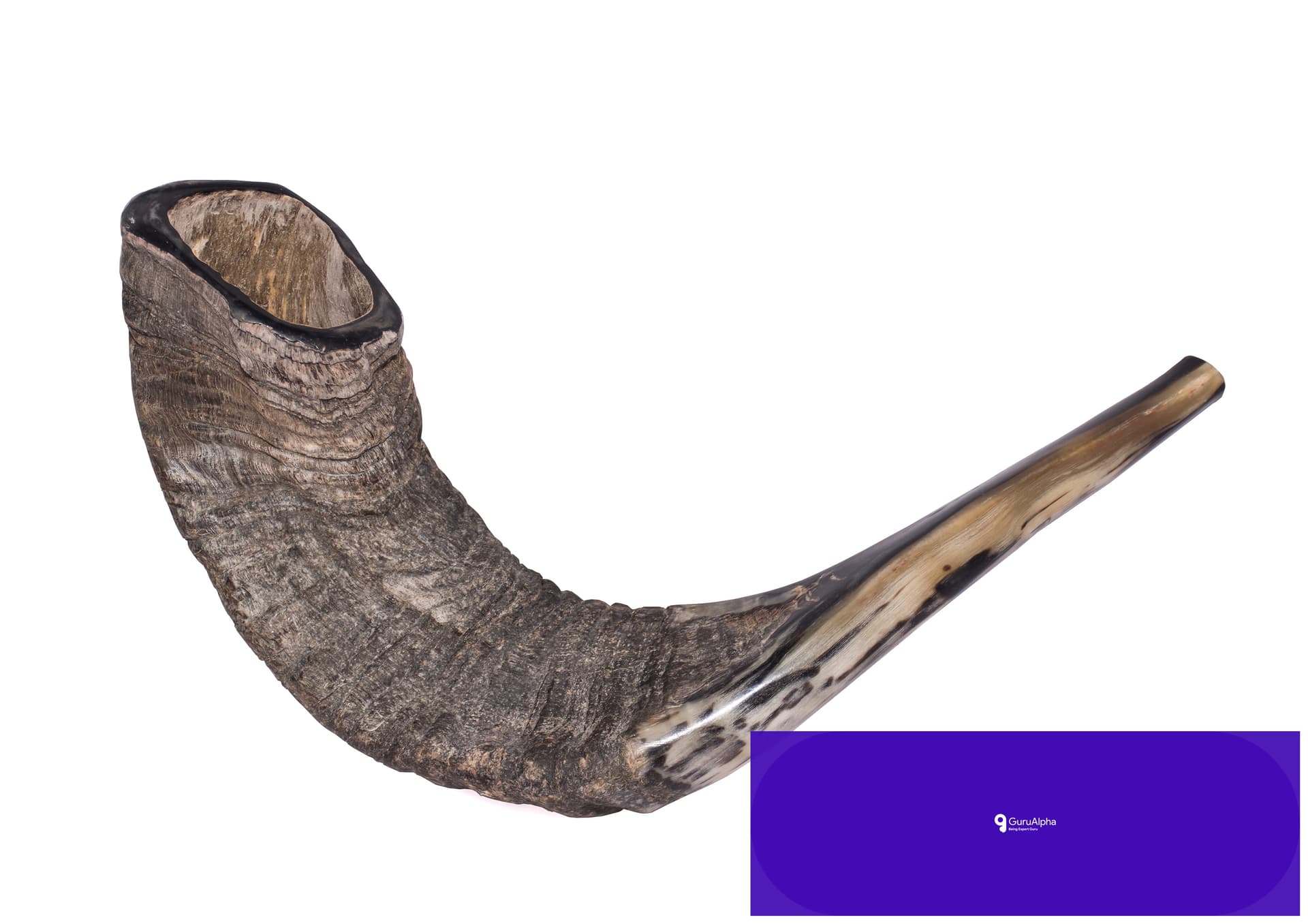 Ancient Horn Echoes Across High Holy Days: History of the Shofar