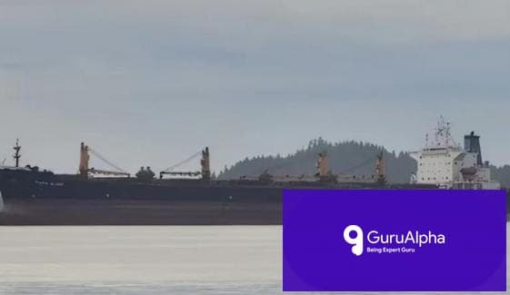 Panama Cargo Vessel Sinks Off Indian Coast with 24 Crew Onboard