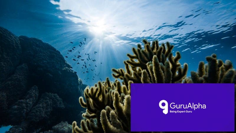 Scientists Discover 12 New Species in Pakistan's Arabian Sea Deep Trench