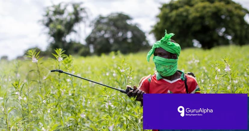 Unsafe Chemicals Poison 400 Million Farmers Annually, PAN Study Reveals
