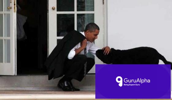 Barack Obama's Family Dog Sunny Dies at Age 13