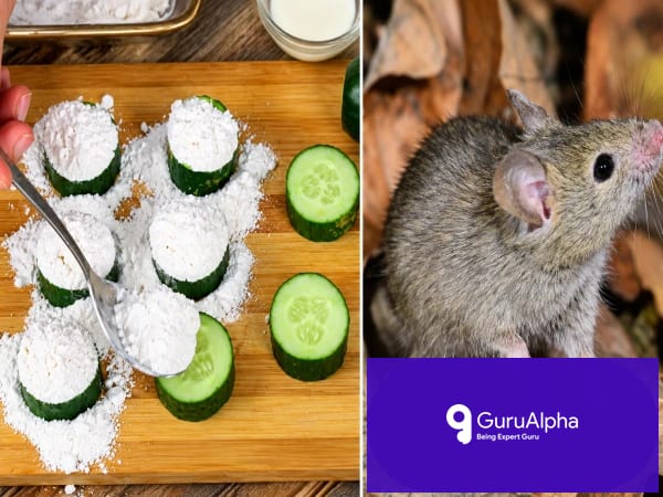 How Sliced Cucumber and Baking Soda Eradicate Household Pests Safely