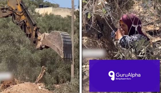 West Bank Olive Groves Destroyed as Palestinian Resistance Faces Bulldozers