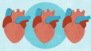American Heart Association Releases First Guideline Overhaul in a Decade