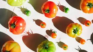Tomatoes 101: A Complete Guide